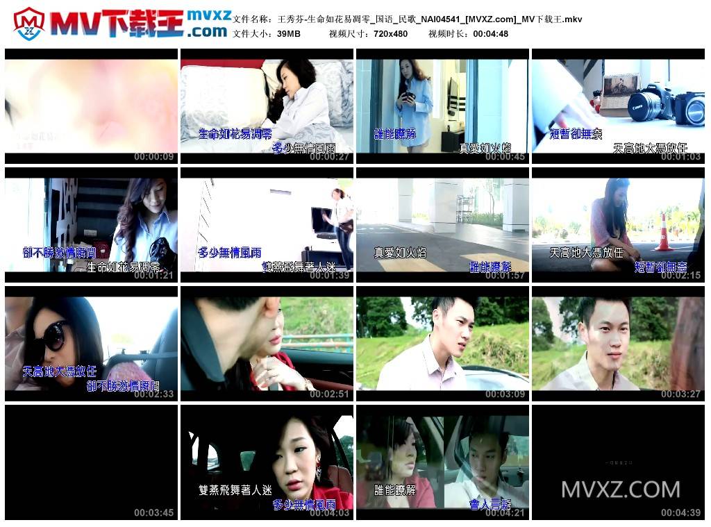王秀芬-生命如花易凋零_国语_民歌_NAI04541